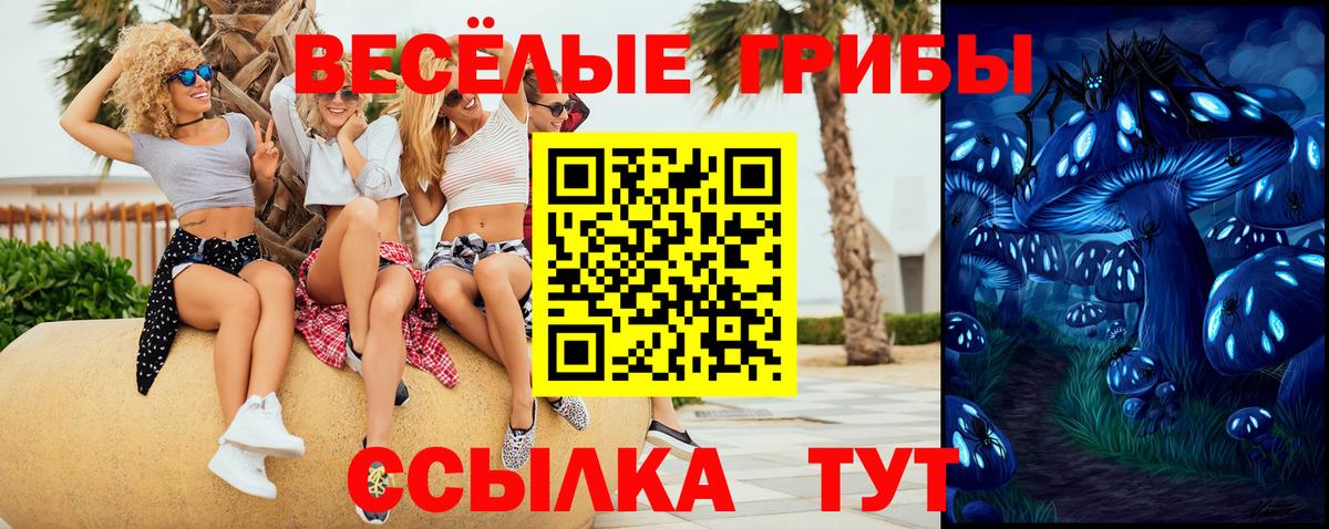 Псилоцибиновые грибы Psilocybe Луга