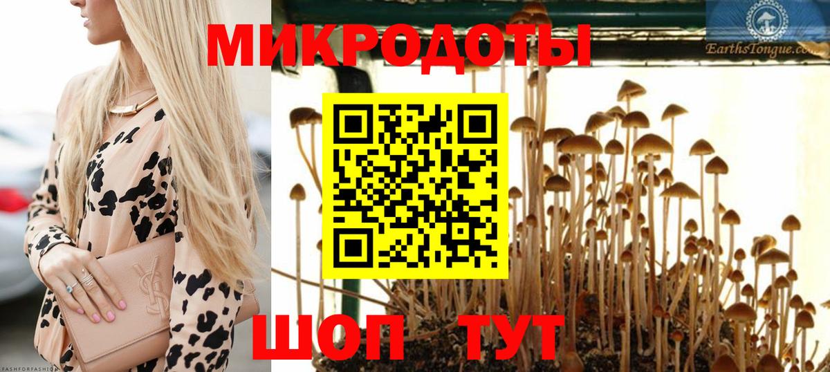 Псилоцибиновые грибы Psilocybine cubensis  Вход с VPN  Псилоцибиновые грибы Cubensis  Луга 